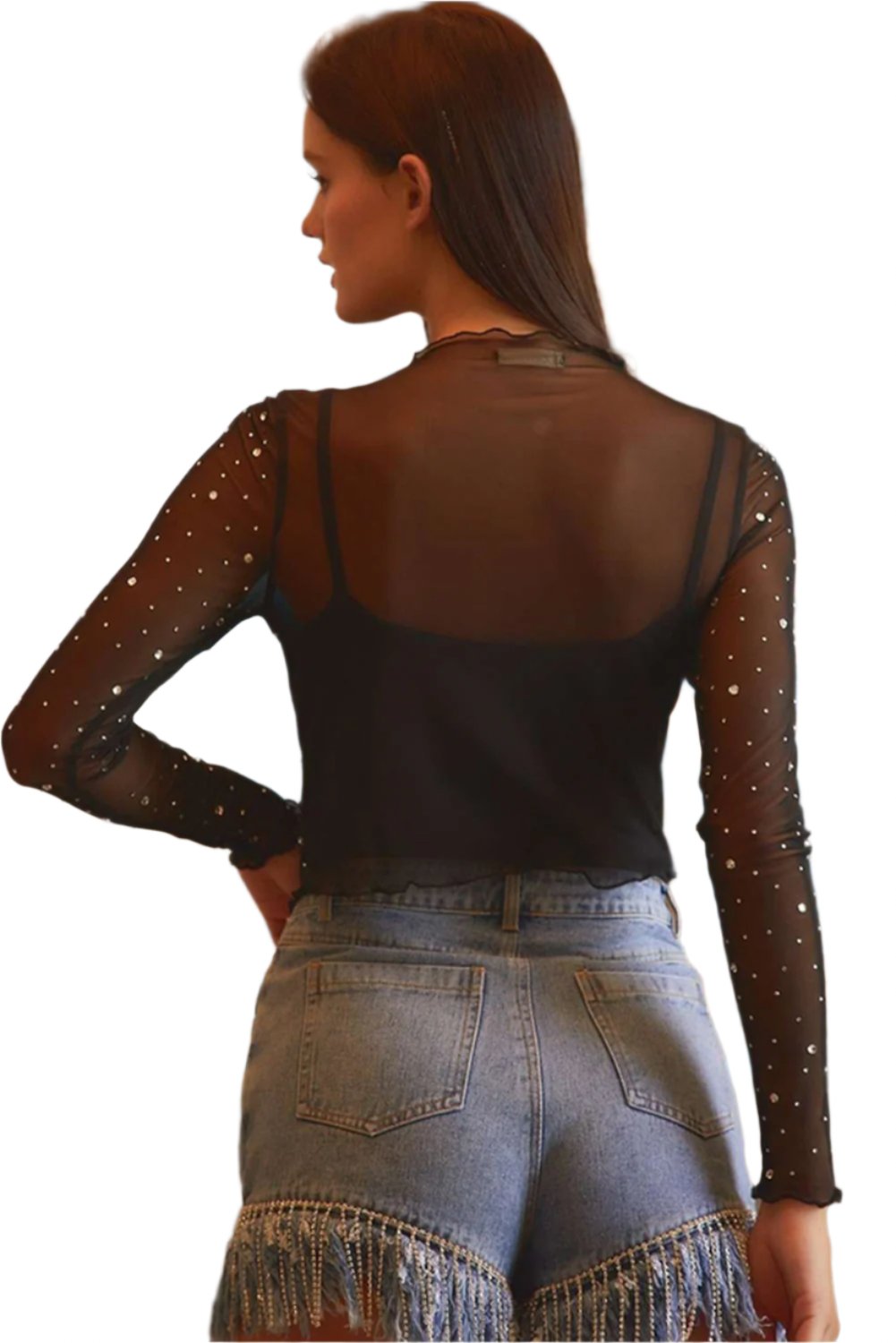 Black Rhinestone Sheer Mesh Slim Fit Long Sleeve Top